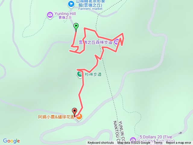 石壁風景區-杉林步道