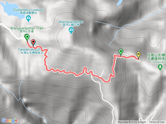 太平山山毛櫸步道2020-11-12