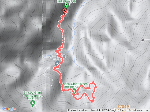 鎮西堡巨木群步道(B群巨木群)
