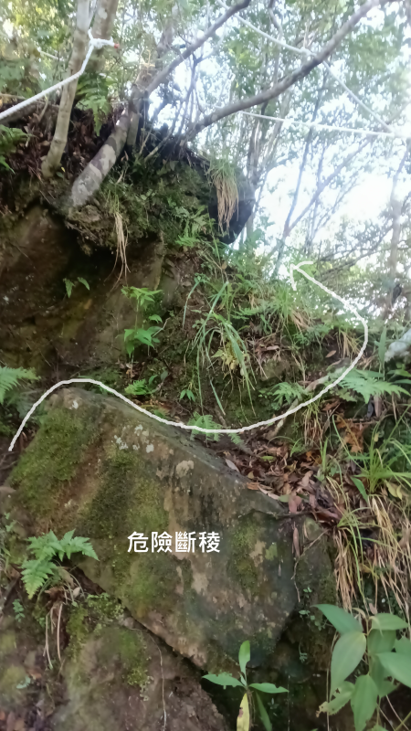 0008d985b9fd455e8fdb57f2bb891185.png