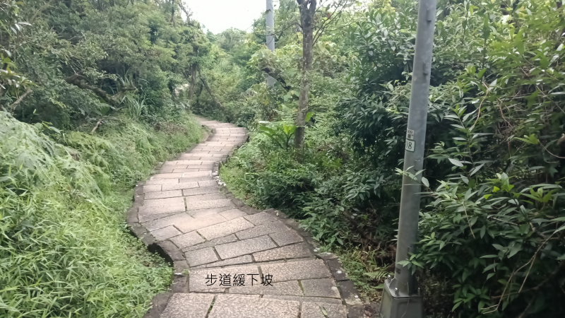 01276ce436ae9ce4953c9f4ba405912f.png