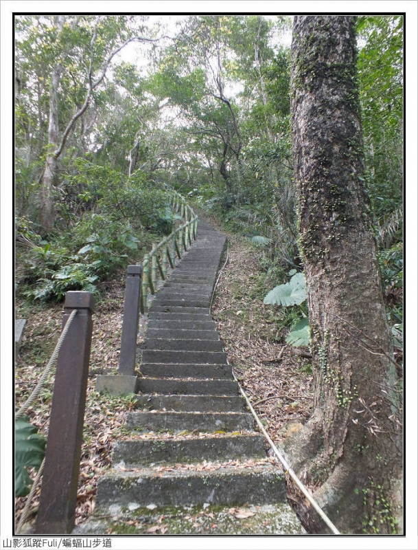 蝙蝠山步道 (14).jpg - 蝙蝠山步道