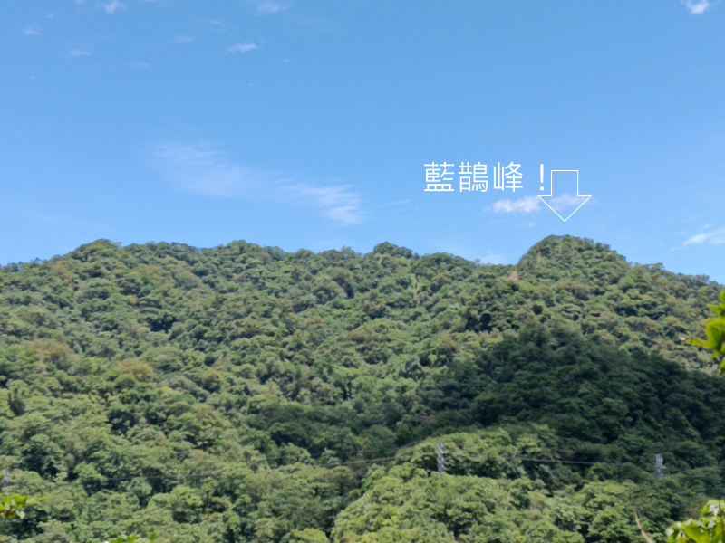 01a14ef6ad19f3e39f2a105e15128ba8.png