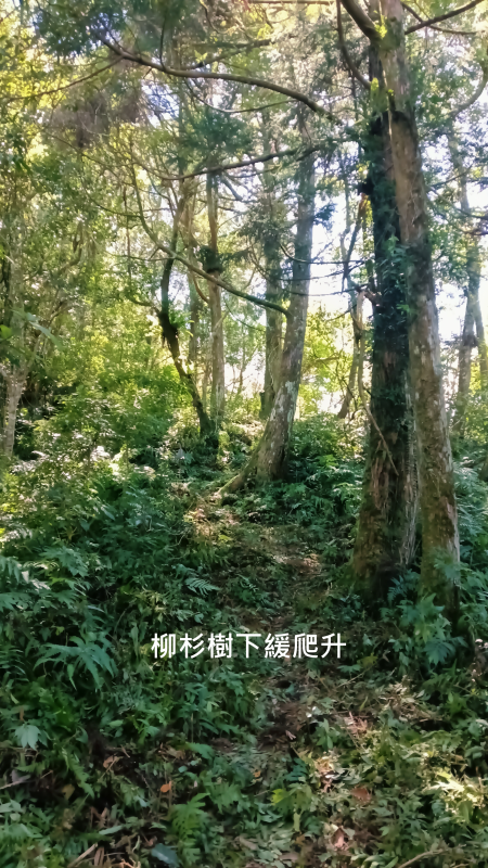 023142b3cb407f86086aedfcbe56b700.png