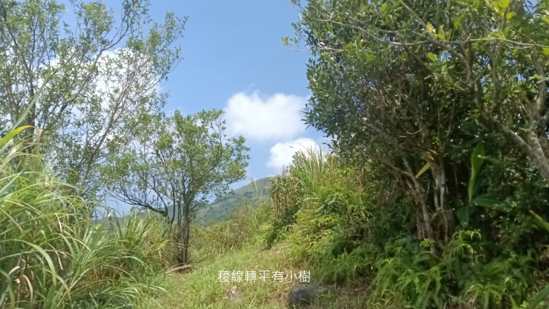 027f1873d39d9ac08b56010c8c35f0b1.png