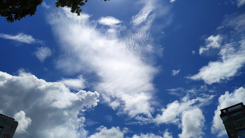 看雲的日子 中 高雲族 台北的天空 健行筆記