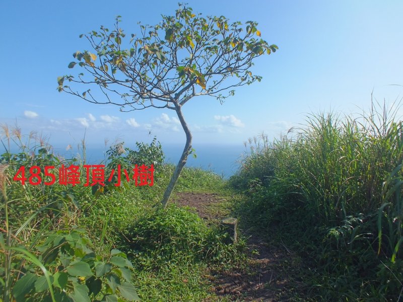 基隆山稜 (1).JPG - 基隆山稜