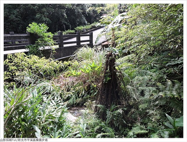 藥園步道 (3).JPG - 藥園步道