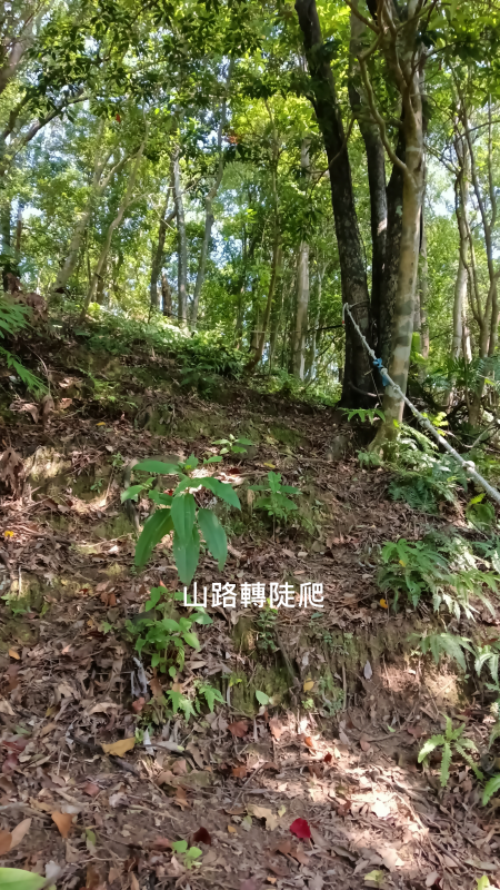 032155466488f84a6fd8d4253640fbb5.png