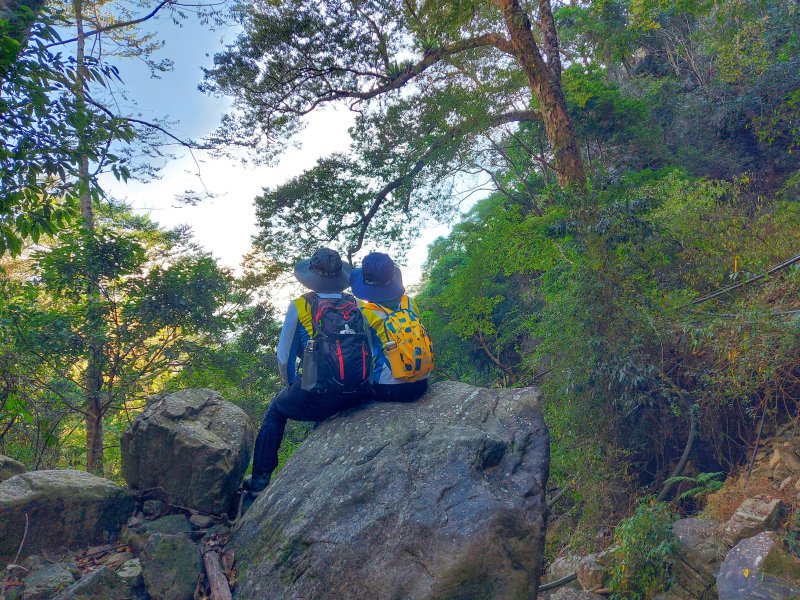 【谷關七雄】谷關七雄懶人包整理~八仙山.馬崙山.屋我尾山.波津加山.東卯山.白毛山.唐麻丹山外加阿冷山、東卯山東南陵~谷關七雄步道/停車/導航介紹