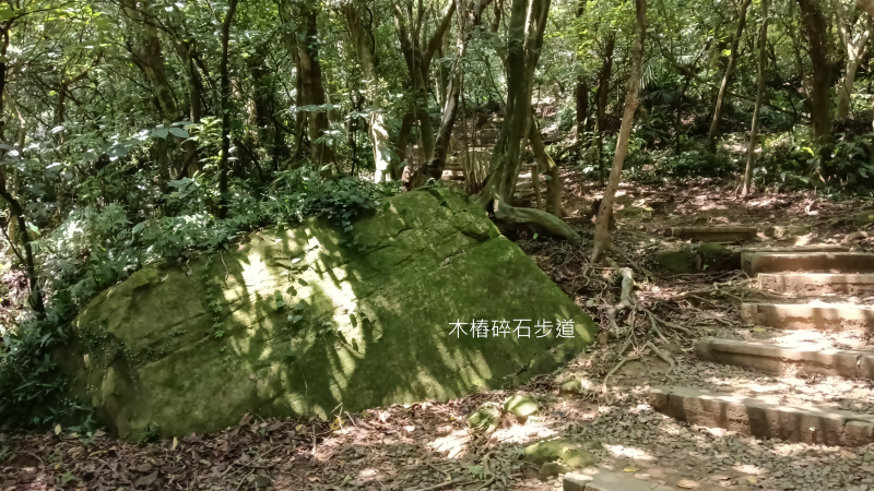 04b835434fe8df55367d0e5454e68f55.png