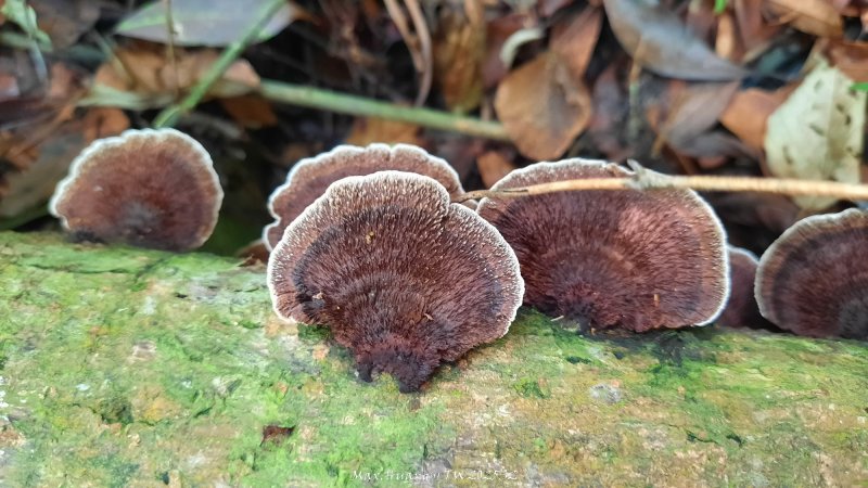 04ec13c300d754a31548d46adfeddb30.jpg