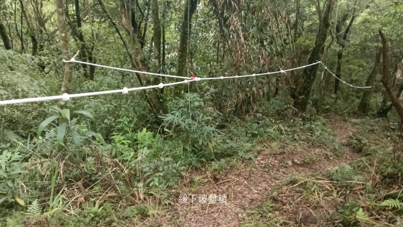 0510a6060aad9fddff7d41d114975de9.png