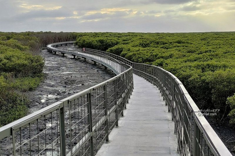 芳苑海空步道 (44).jpg