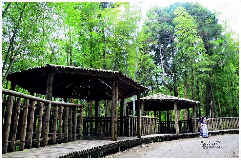 石壁木馬古道-五元二角-雲嶺之丘