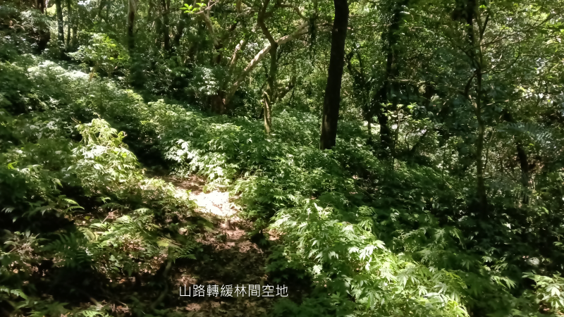 0551ac918bc8c8648ff4010cc2f515f3.png