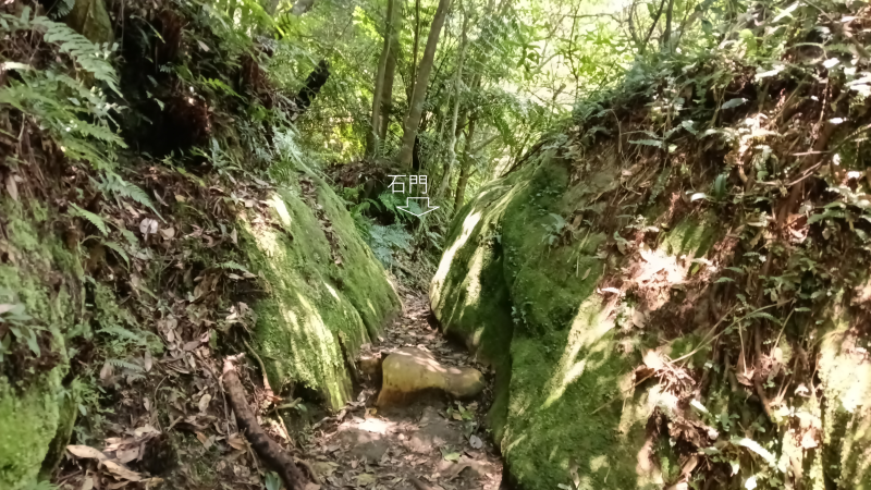0596a2502770cd6129a0638faa804759.png