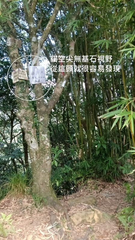 05ad330e924e1db2a30a0d4c1b0b3afd.png