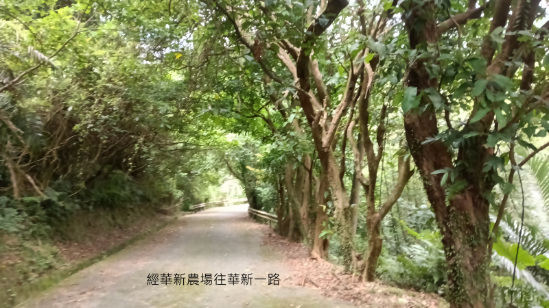 05bd2bb134bcba949497df86d19fa72c.png