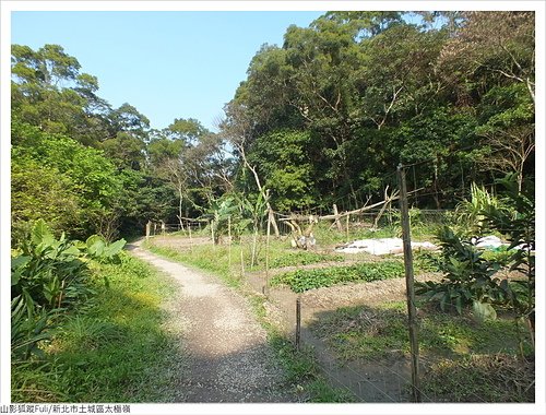 太極嶺 (6).JPG - 太極嶺、五城山