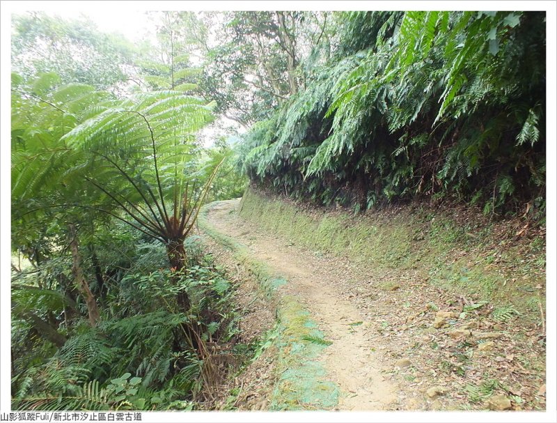 白雲古道 (1).JPG - 白雲古道