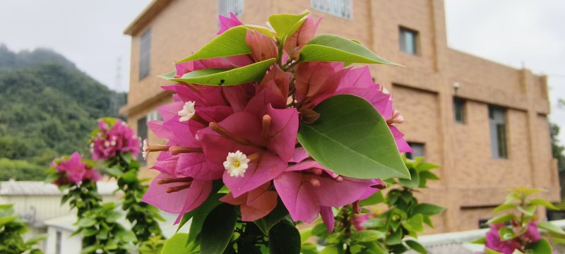066a8dbf520f0000faa191cf7dacd9d1.jpg