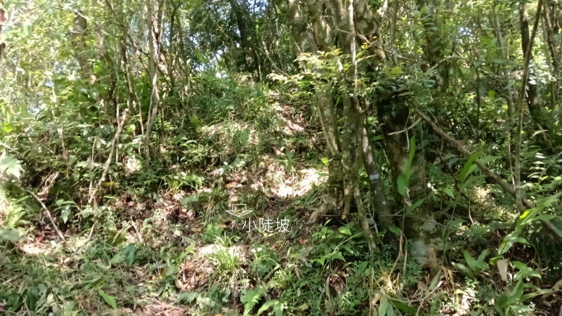 067d7594b591e1851206b80a44973b97.png