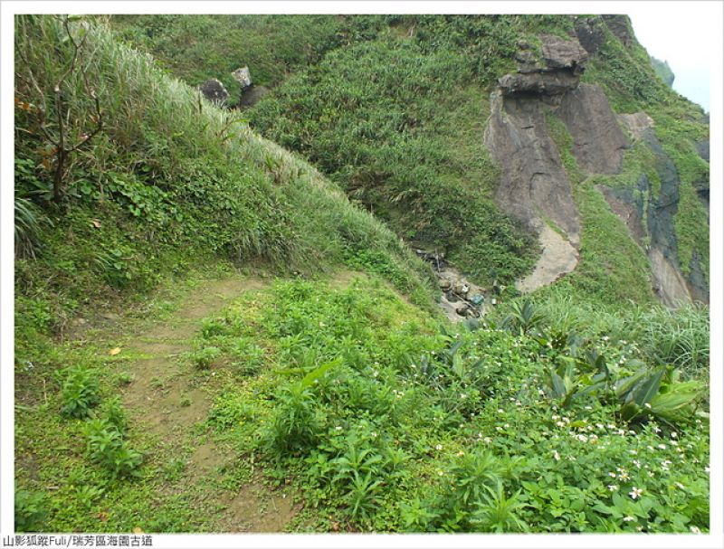 海園古道 (42).JPG - 海園古道蝶影翩翩