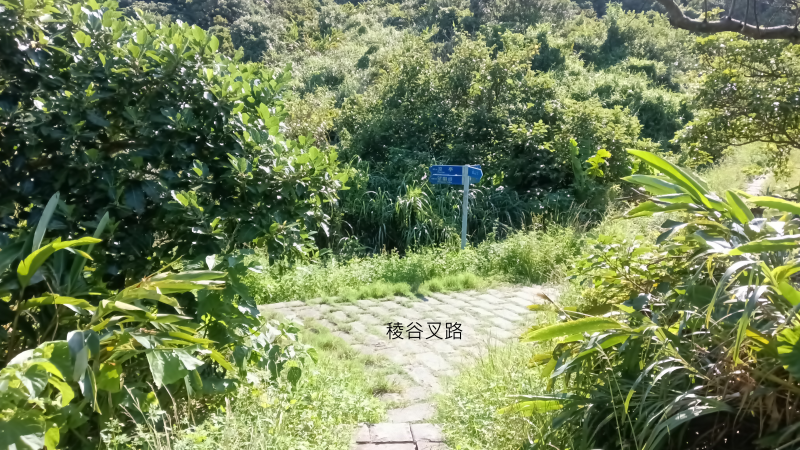 06c350c50ac3fc60e22fc0686b206116.png