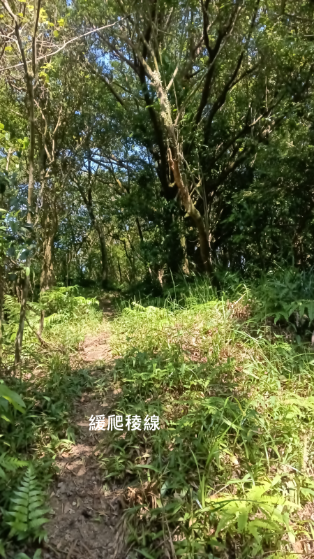06f64045e12d4007720deb4af49b37fd.png