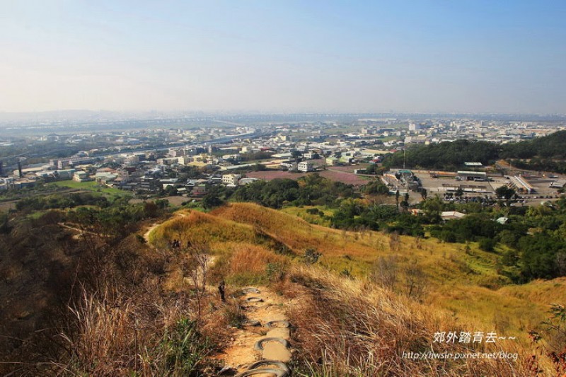 台中 知高圳步道踏青 巧遇波斯菊花海 健行筆記