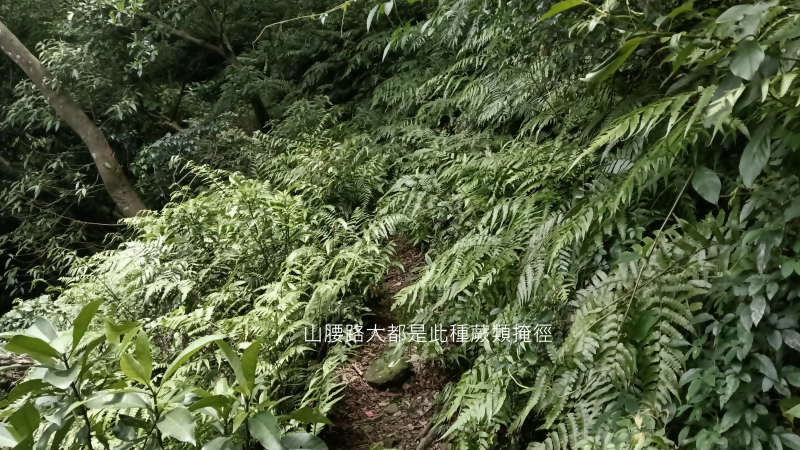 07ab336d970f77d5b716669ace0f9c7e.png