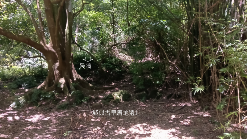 07d767d2899912f74ada2f555b4939f7.png