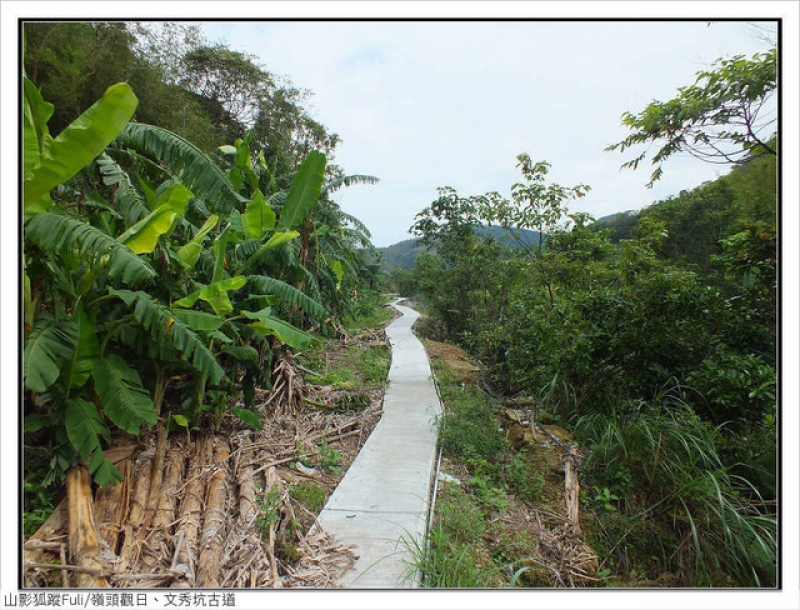 嶺頭觀日、文秀坑古道 (86).jpg - 嶺頭觀日、文秀坑古道