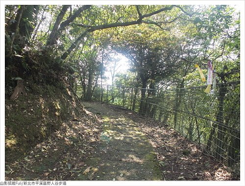 野人谷步道 (60).JPG - 野人谷步道