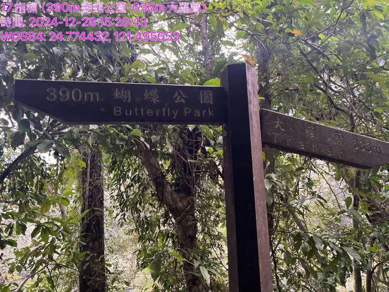 0801b5a811cf53691ed1b912bfec998b.jpg
