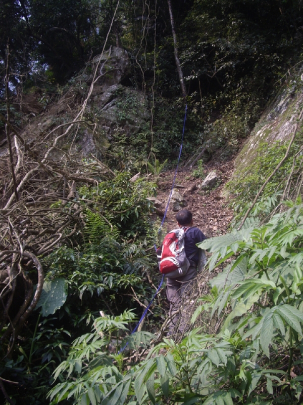 IMGP9107.JPG - 苗栗泰安冬瓜山步道