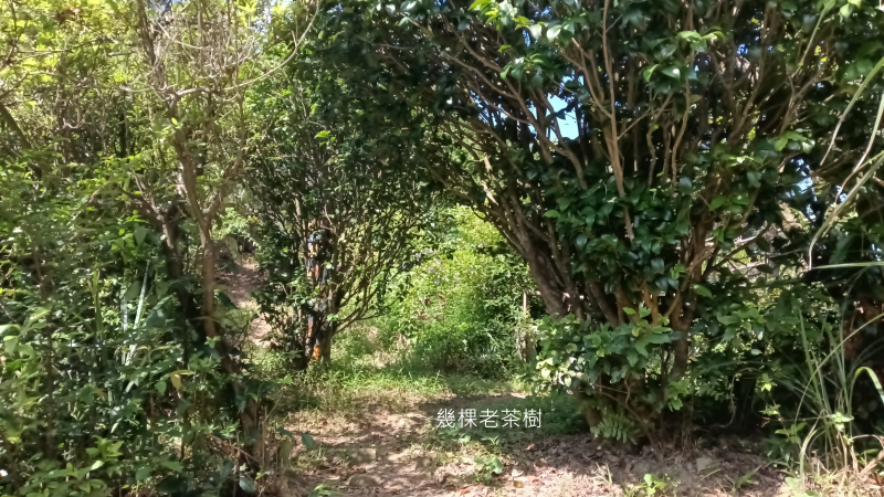 08adb144601b97c4fe170d826f3410ce.png