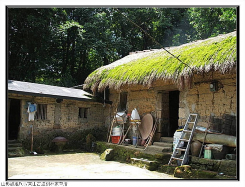 林家草厝 (35).jpg - 林家草厝