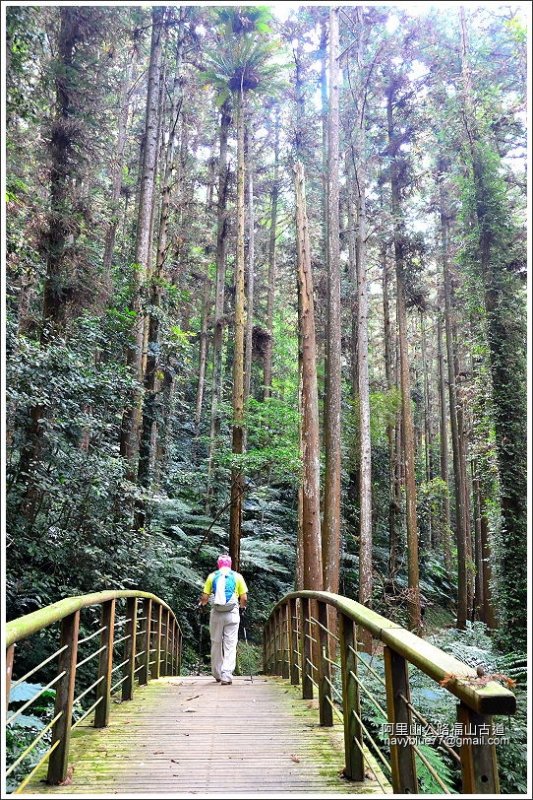 迷糊步道-福山古道