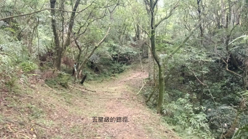 099a661c960ebb29b3954beb3d3a38ee.png