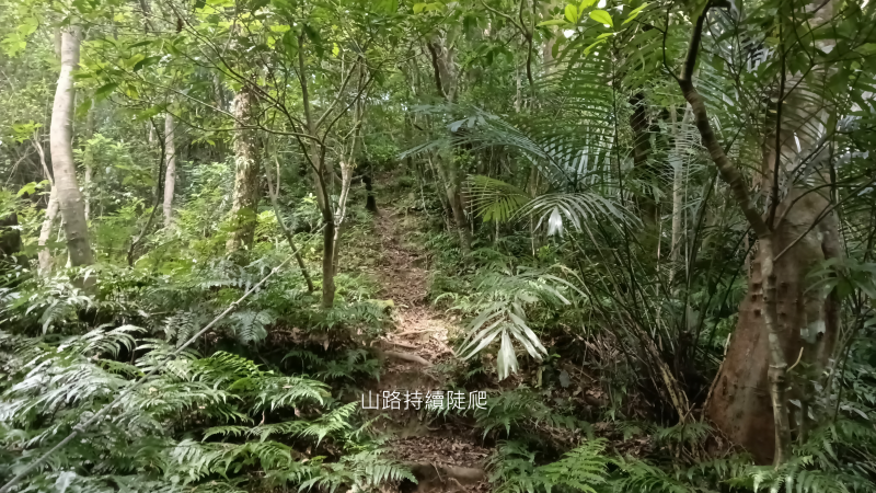 0a76713248b821e7c8b86fc6d172d614.png