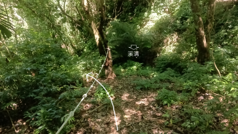 0a900b1163b61332707d92de11b369fd.png
