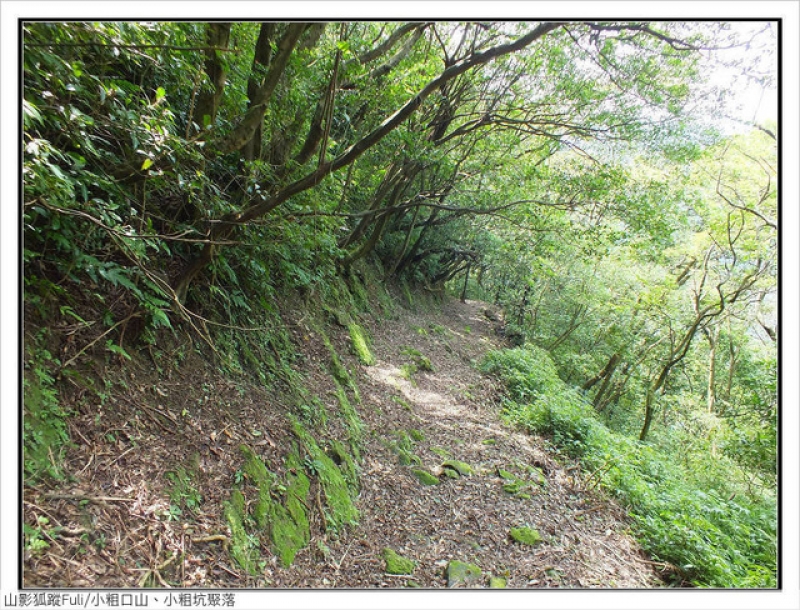 小粗口山 (47).jpg - 小粗口山、小粗坑聚落