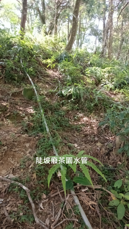 0b33a47e1237ccd369cb1ab0a8d144a9.png