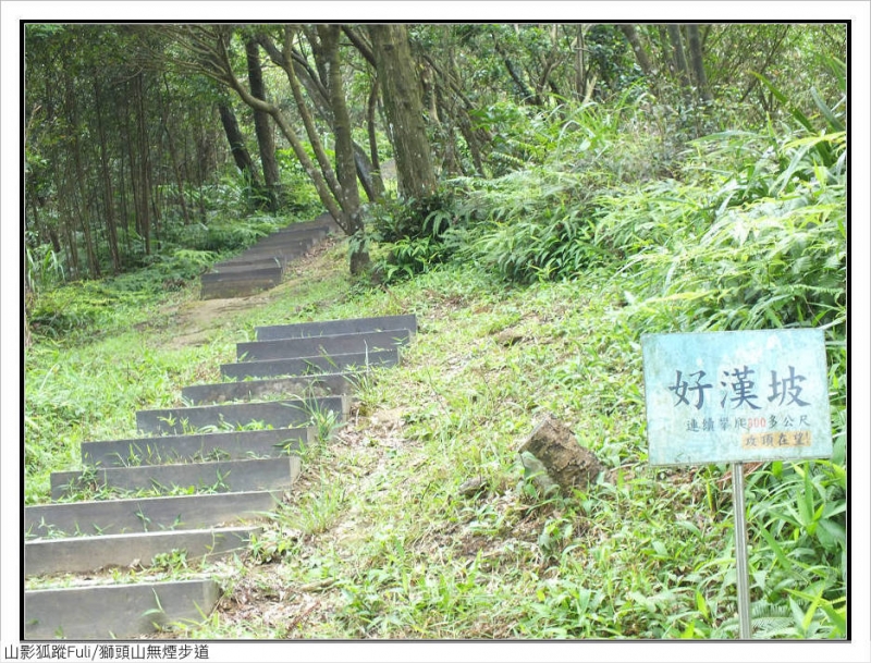 獅頭山無菸步道 (21).jpg - 獅頭山野牡丹