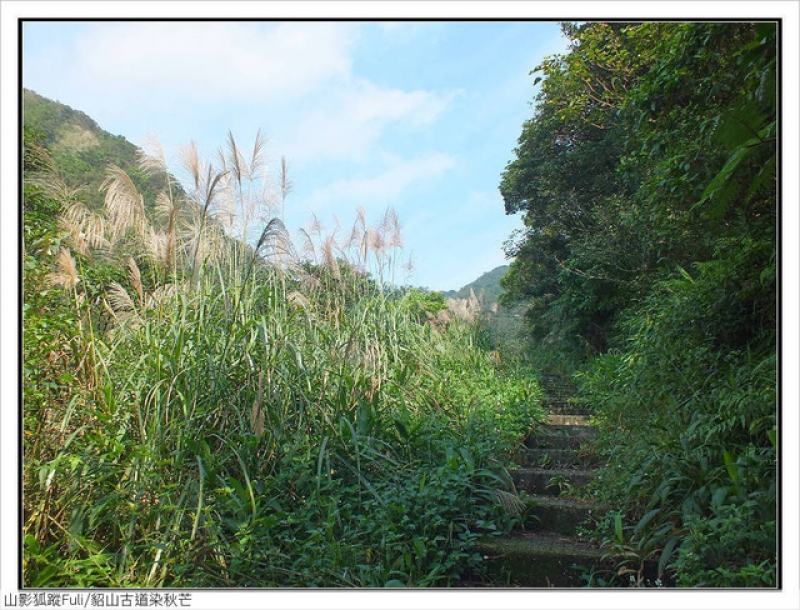 貂山古道 (9).jpg - 貂山古道