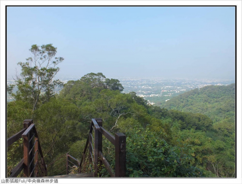 中央嶺森林步道 (53).jpg - 中央嶺森林步道