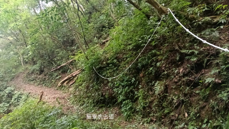 0c8b96f4c2472d26d98e54fa25e5d0c2.png