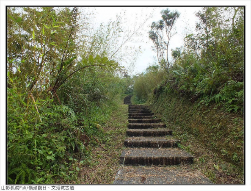 嶺頭觀日、文秀坑古道 (10).jpg - 嶺頭觀日、文秀坑古道